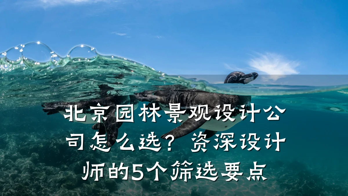 北京园林景观设计公司怎么选？资深设计师的5个筛选要点