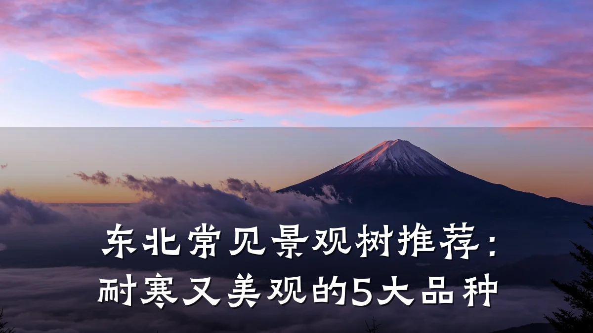 东北常见景观树推荐：耐寒又美观的5大品种