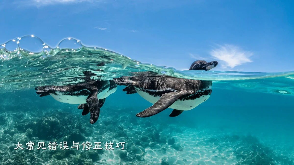 大常见错误与修正技巧