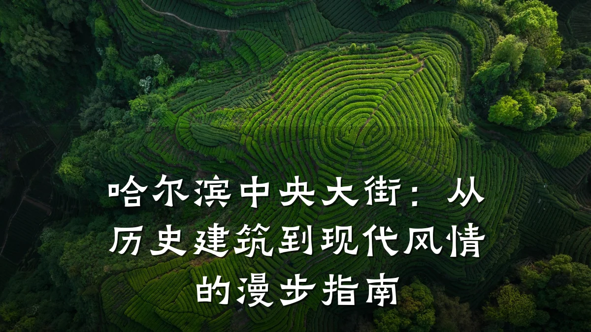 哈尔滨中央大街：从历史建筑到现代风情的漫步指南