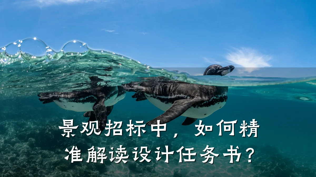 景观招标中，如何精准解读设计任务书？