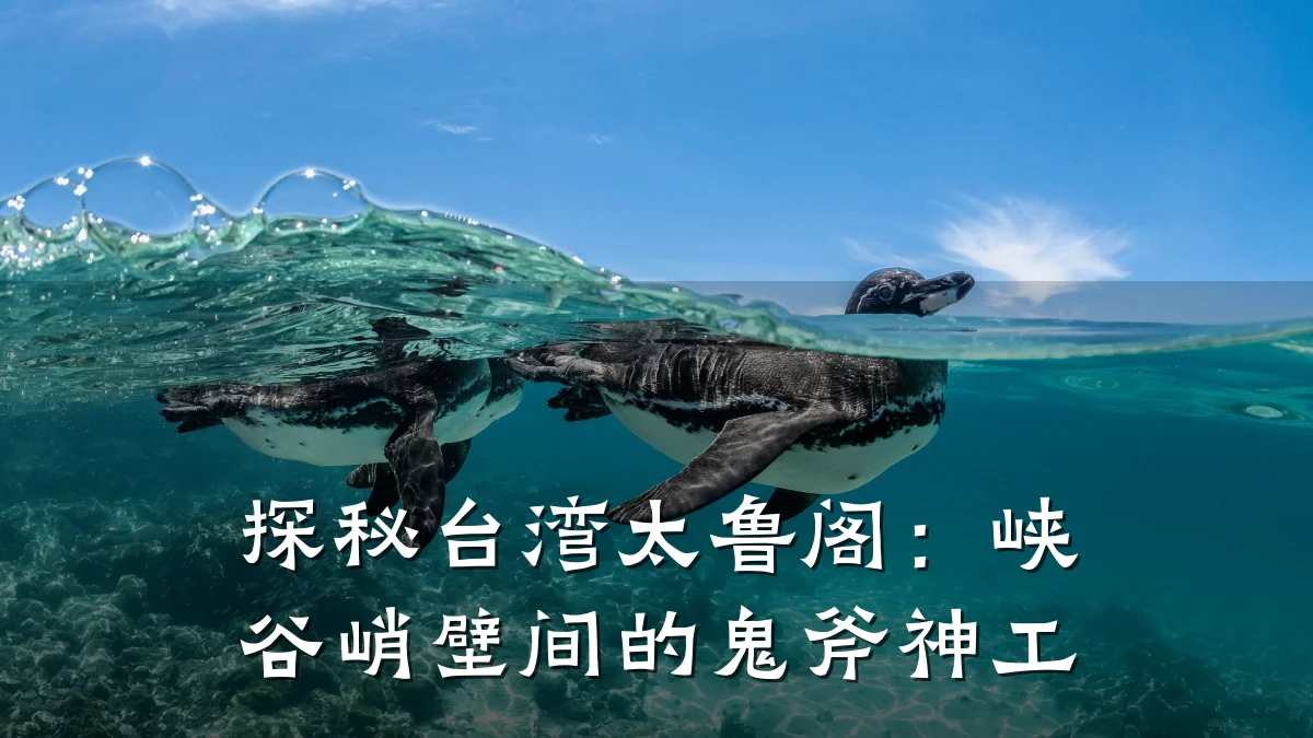 探秘台湾太鲁阁：峡谷峭壁间的鬼斧神工