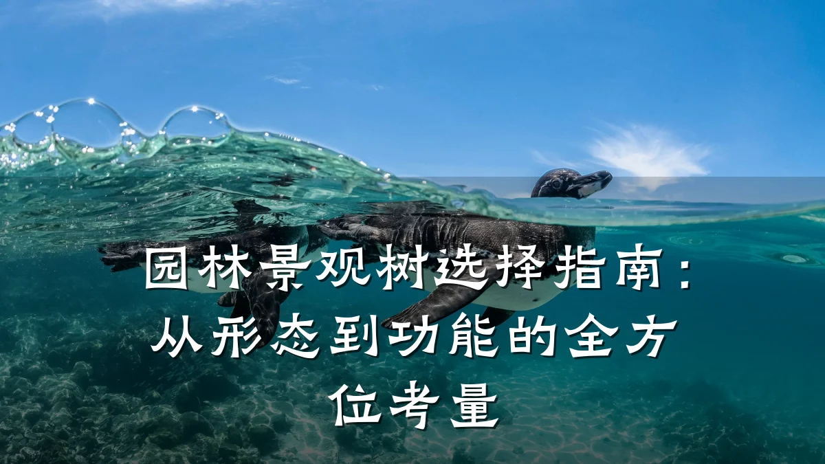 园林景观树选择指南：从形态到功能的全方位考量