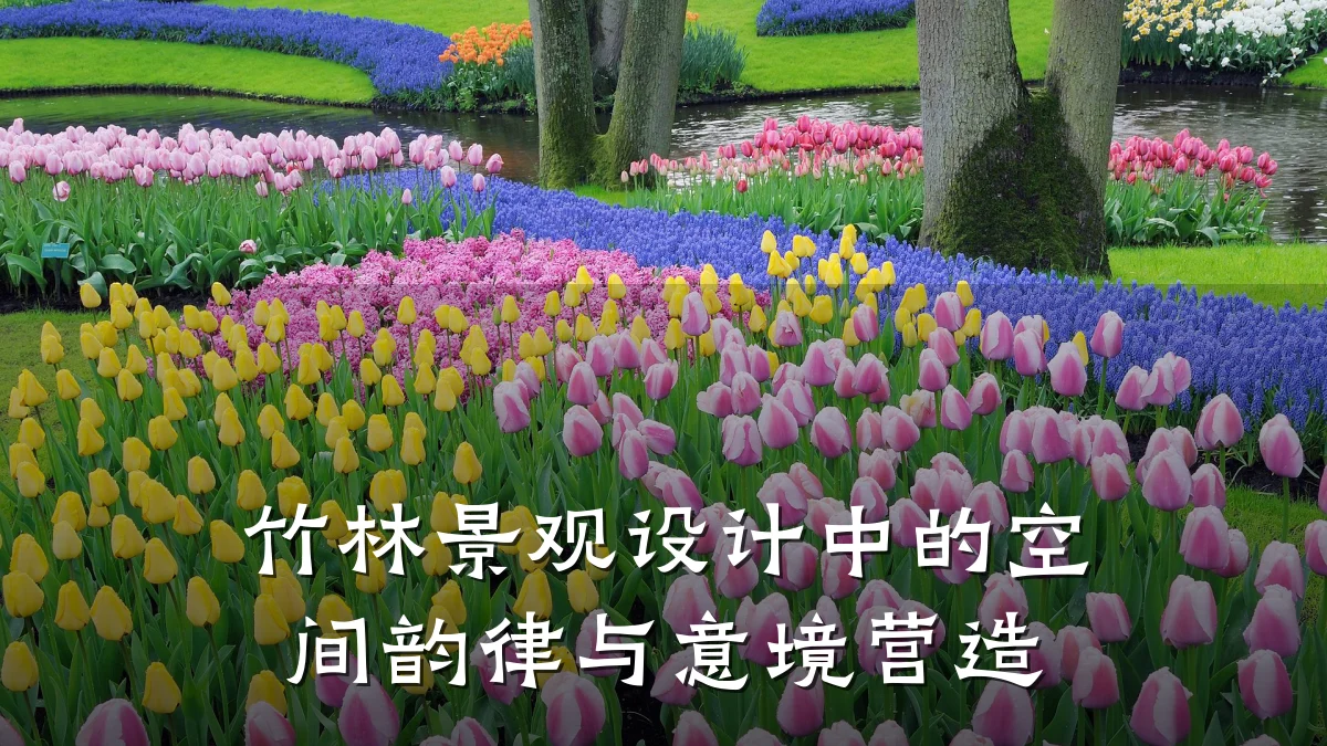 竹林景观设计中的空间韵律与意境营造
