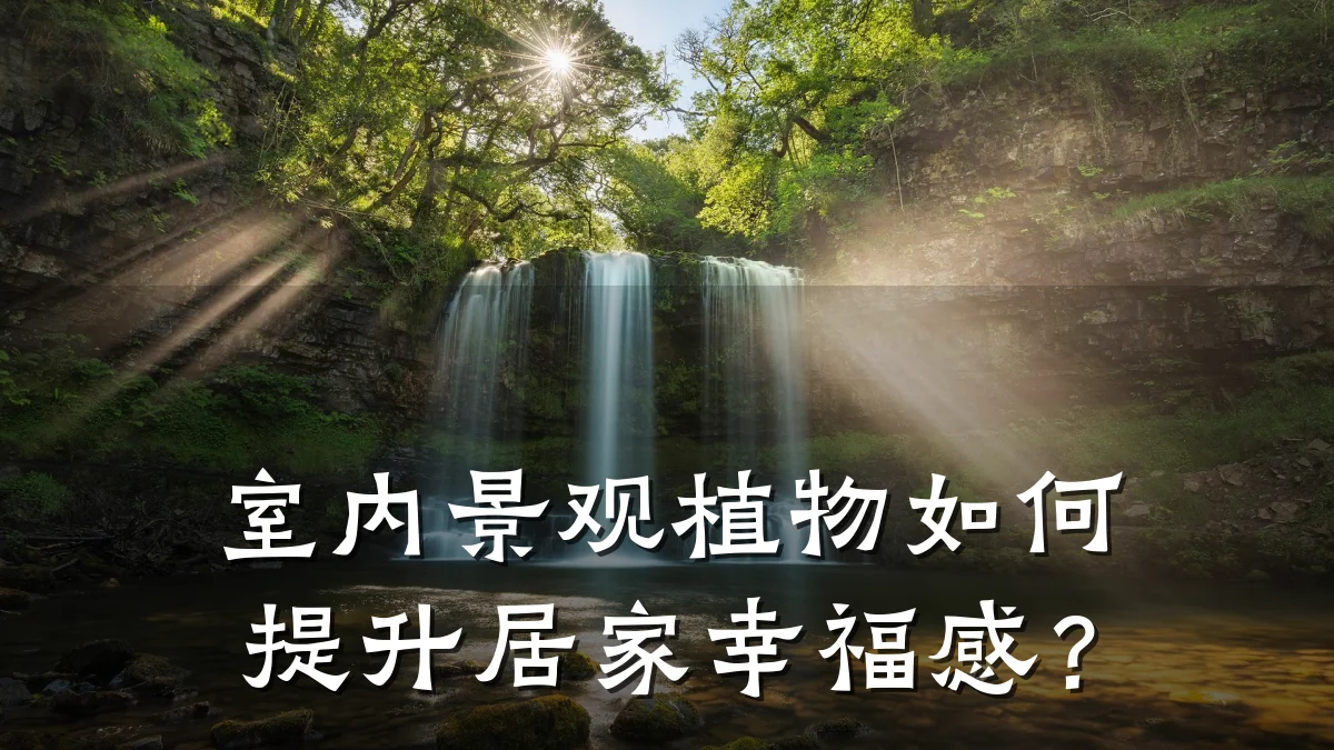 室内景观植物如何提升居家幸福感？