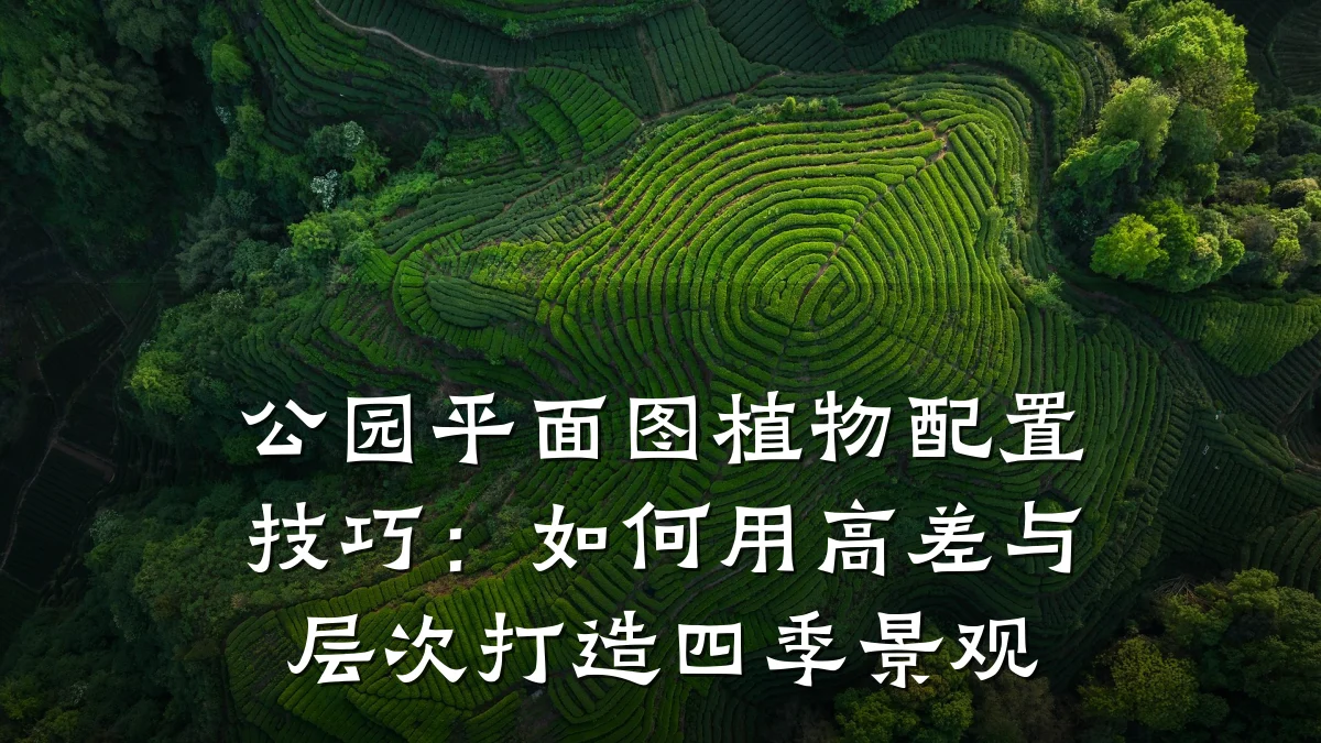 公园平面图植物配置技巧:如何用高差与层次打造四季景观