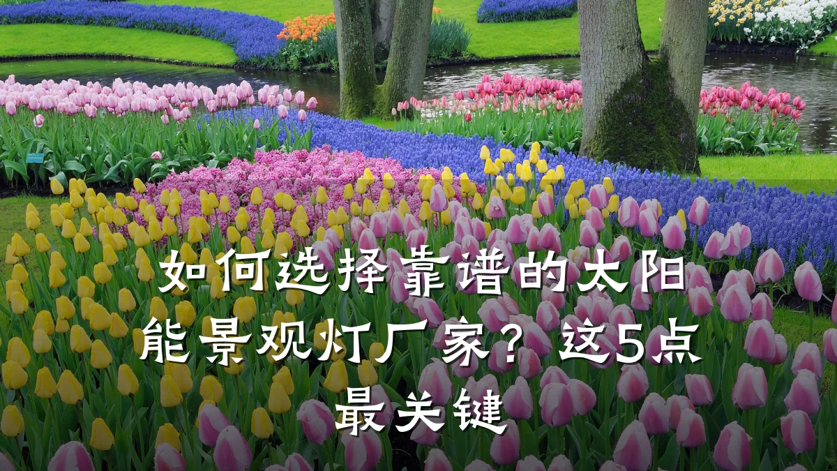 如何选择靠谱的太阳能景观灯厂家？这5点最关键