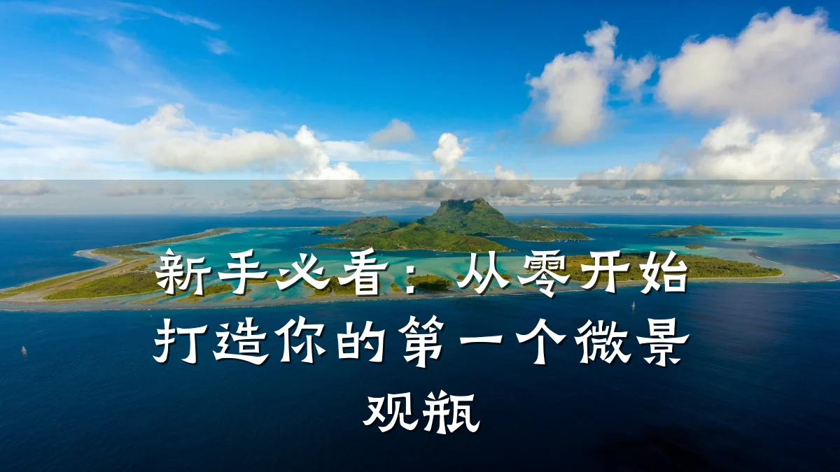 新手必看：从零开始打造你的第一个微景观瓶
