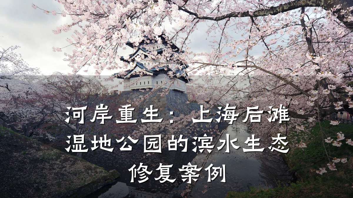 河岸重生:上海后滩湿地公园的滨水生态修复案例