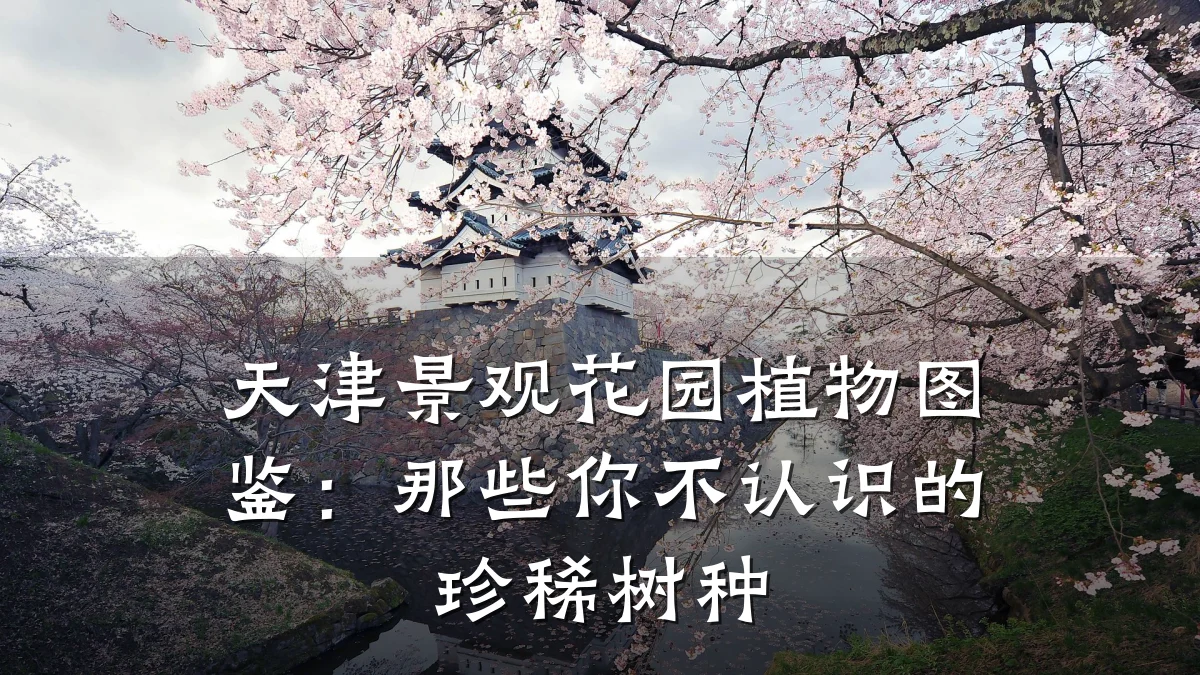 天津景观花园植物图鉴:那些你不认识的珍稀树种