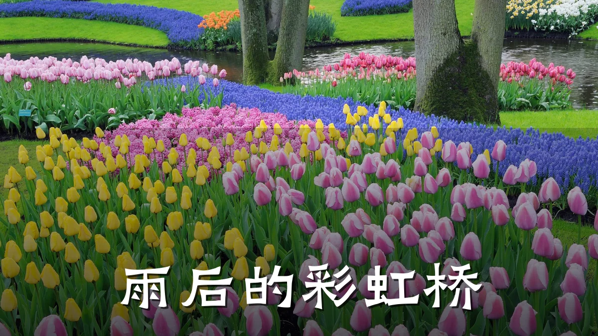 雨后的彩虹桥
