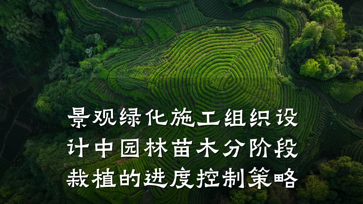 景观绿化施工组织设计中园林苗木分阶段栽植的进度控制策略