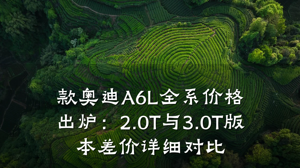 款奥迪A6L全系价格出炉:2.0T与3.0T版本差价详细对比