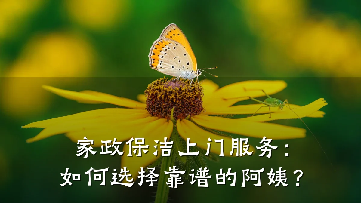 家政保洁上门服务:如何选择靠谱的阿姨?