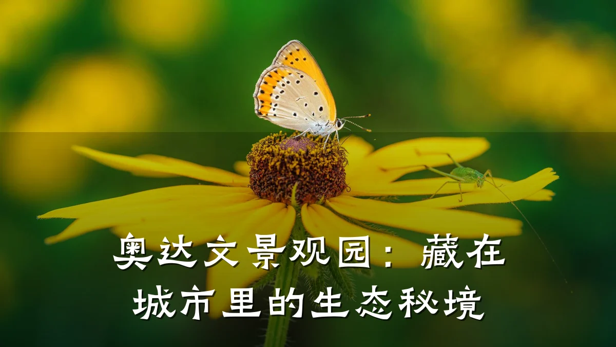 奥达文景观园:藏在城市里的生态秘境