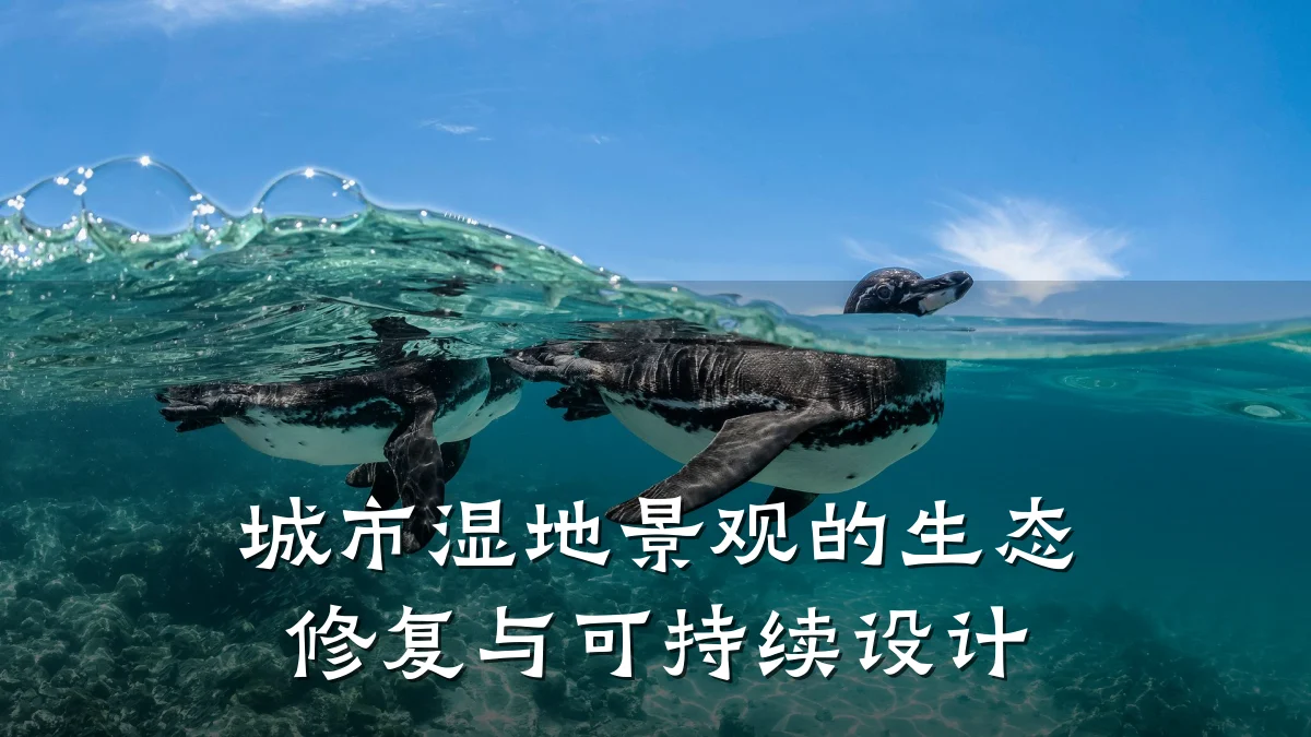 城市湿地景观的生态修复与可持续设计