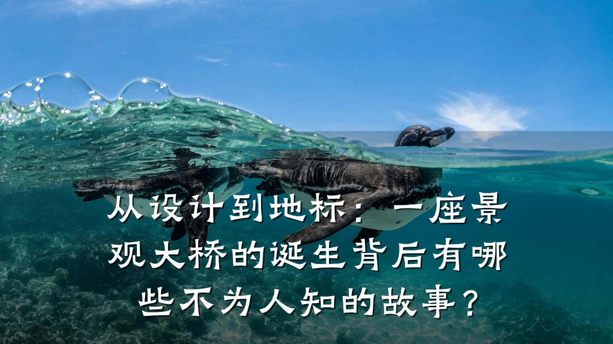 从设计到地标:一座景观大桥的诞生背后有哪些不为人知的故事?