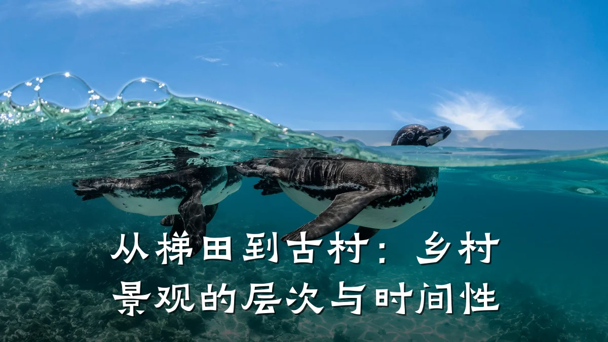 从梯田到古村:乡村景观的层次与时间性