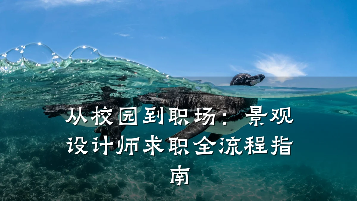 从校园到职场:景观设计师求职全流程指南