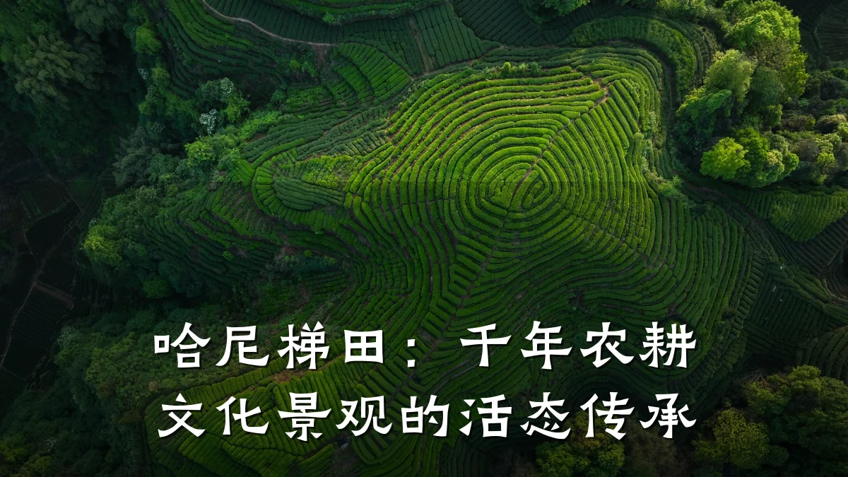哈尼梯田:千年农耕文化景观的活态传承