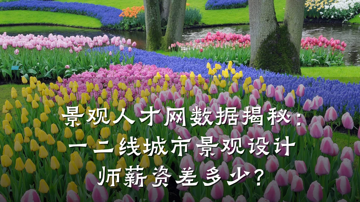 景观人才网数据揭秘:一二线城市景观设计师薪资差多少?