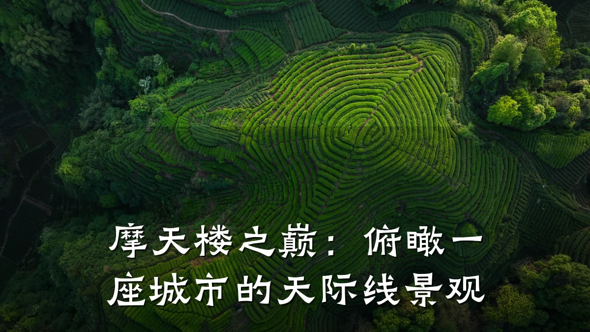 摩天楼之巅:俯瞰一座城市的天际线景观