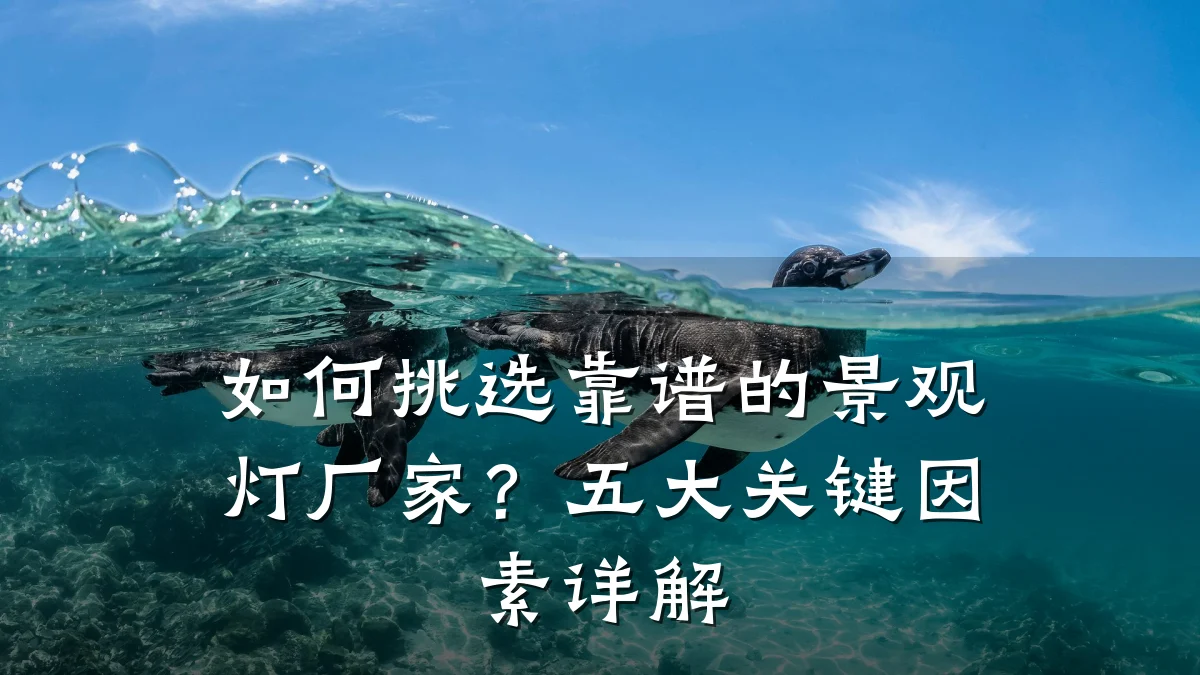 如何挑选靠谱的景观灯厂家?五大关键因素详解