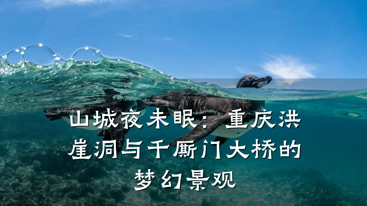 山城夜未眠:重庆洪崖洞与千厮门大桥的梦幻景观