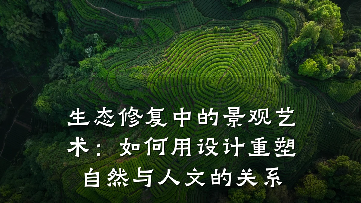 生态修复中的景观艺术:如何用设计重塑自然与人文的关系