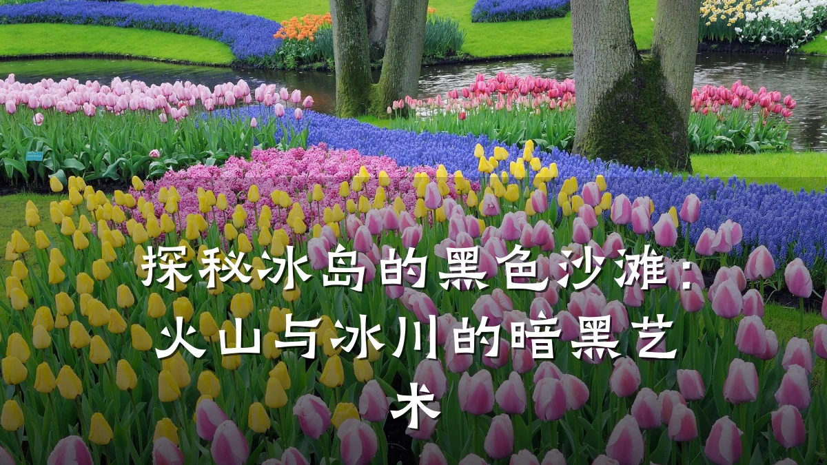 探秘冰岛的黑色沙滩:火山与冰川的暗黑艺术