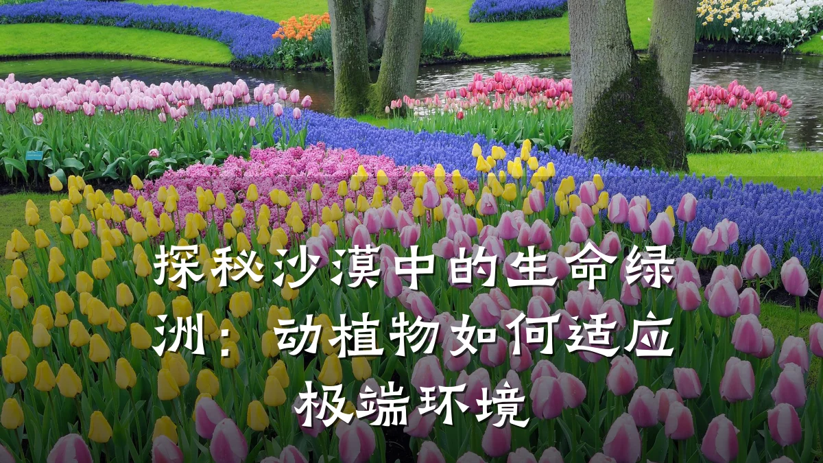 探秘沙漠中的生命绿洲:动植物如何适应极端环境
