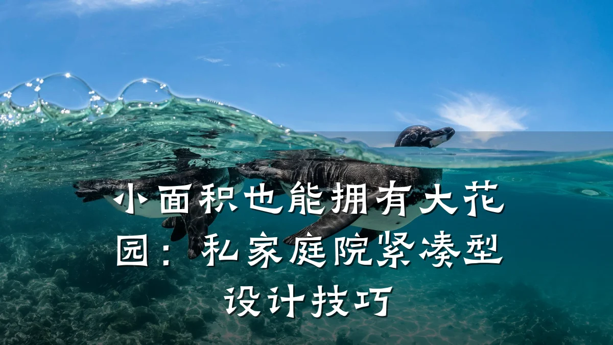 小面积也能拥有大花园:私家庭院紧凑型设计技巧