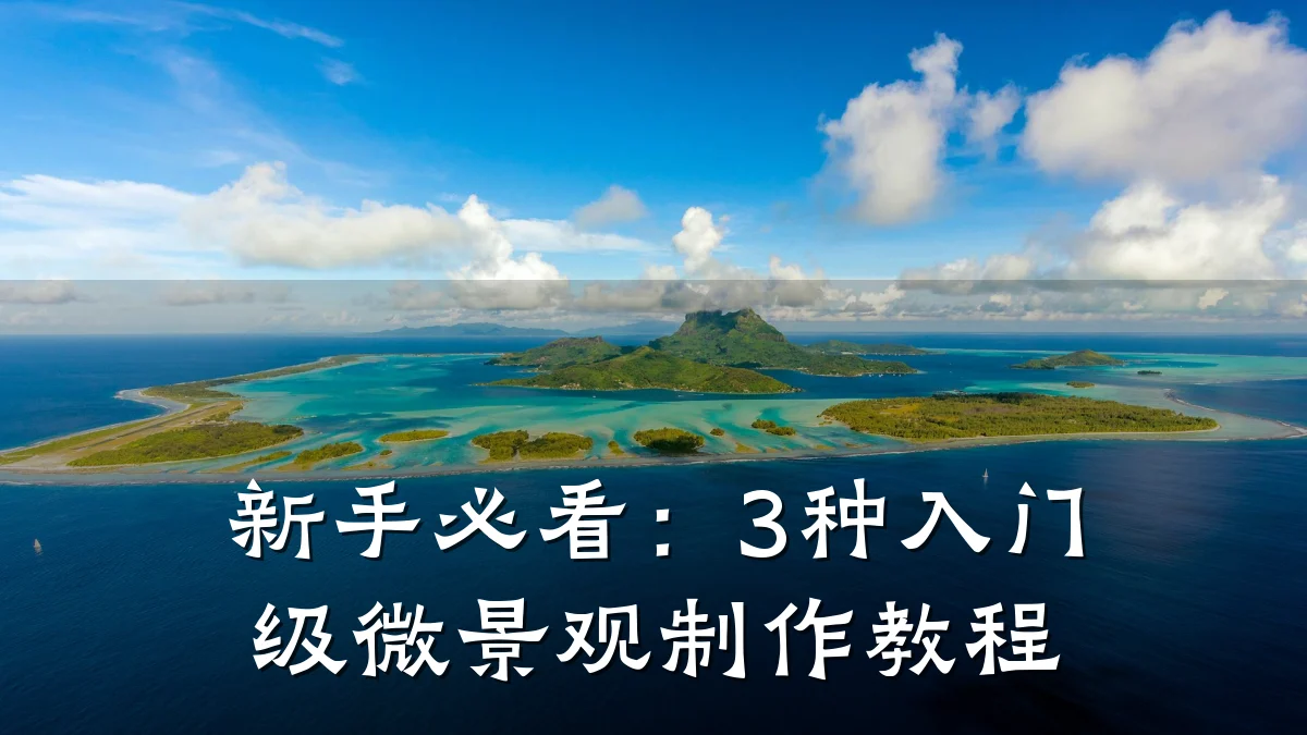 新手必看：3种入门级微景观制作教程