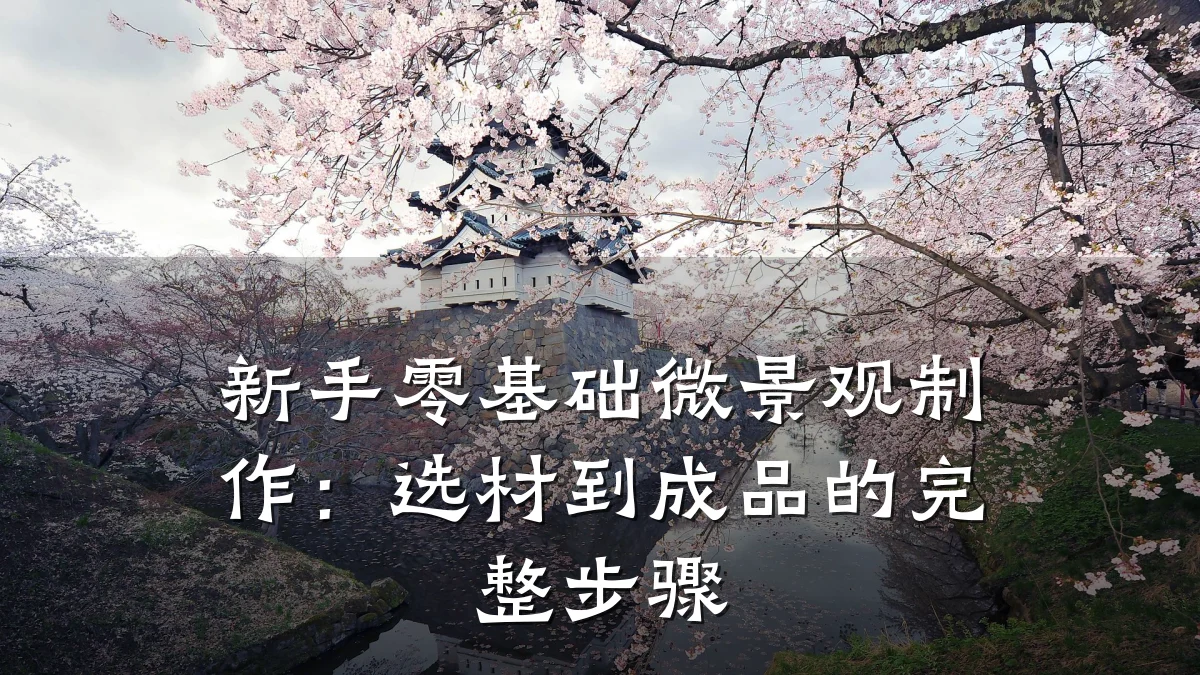 新手零基础微景观制作:选材到成品的完整步骤
