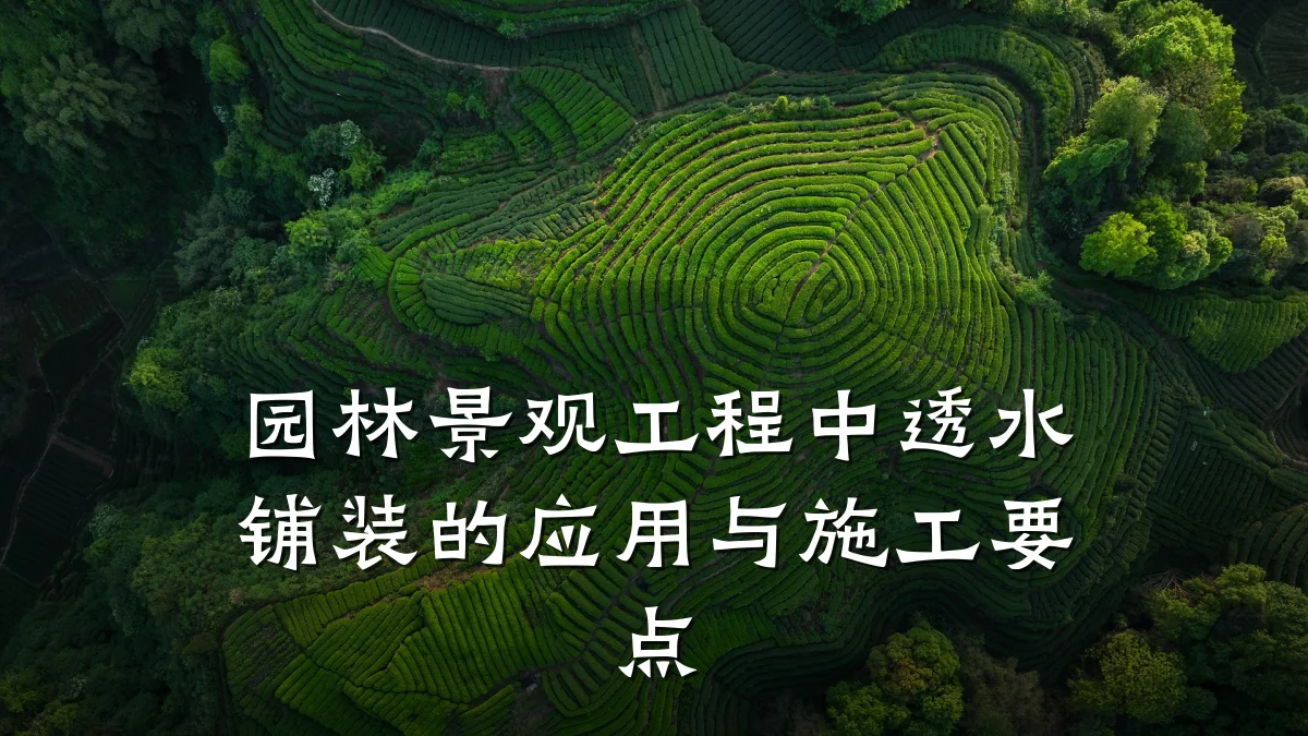 园林景观工程中透水铺装的应用与施工要点