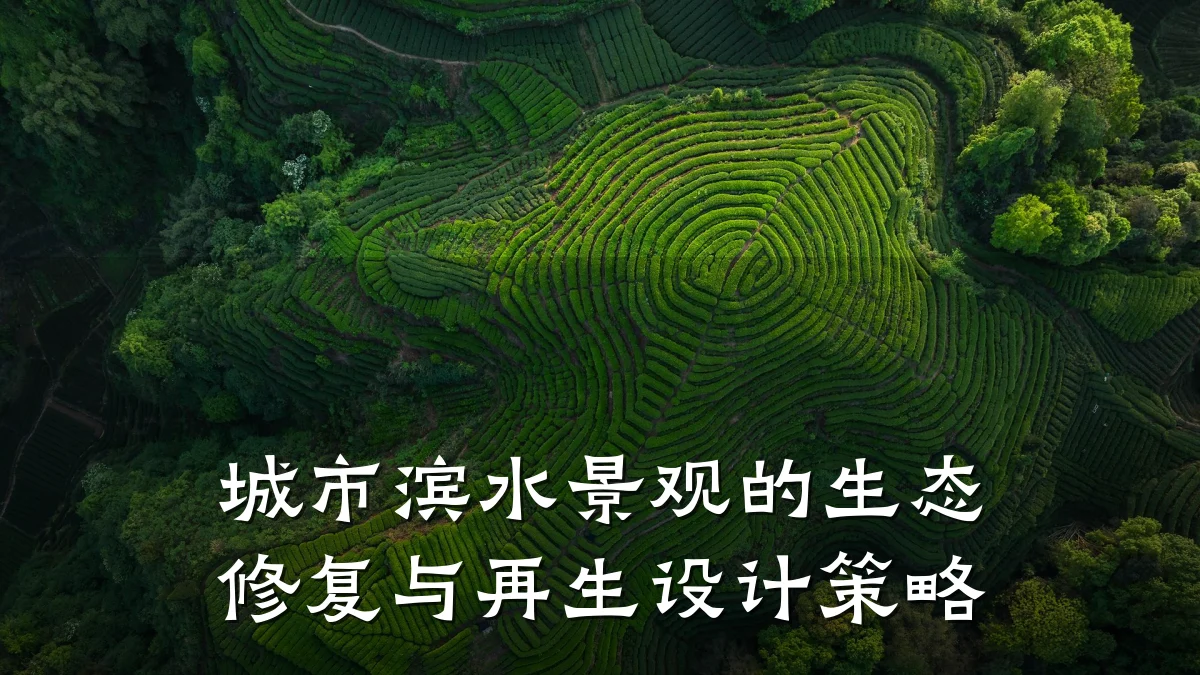 城市滨水景观的生态修复与再生设计策略