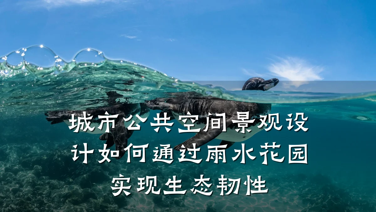 城市公共空间景观设计如何通过雨水花园实现生态韧性