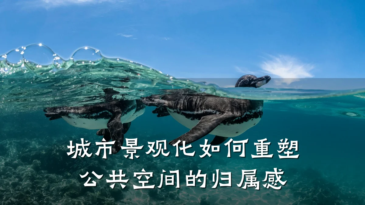 城市景观化如何重塑公共空间的归属感