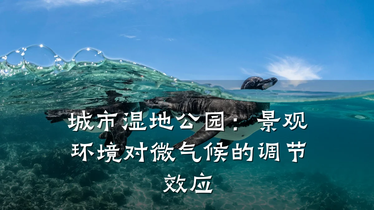 城市湿地公园:景观环境对微气候的调节效应