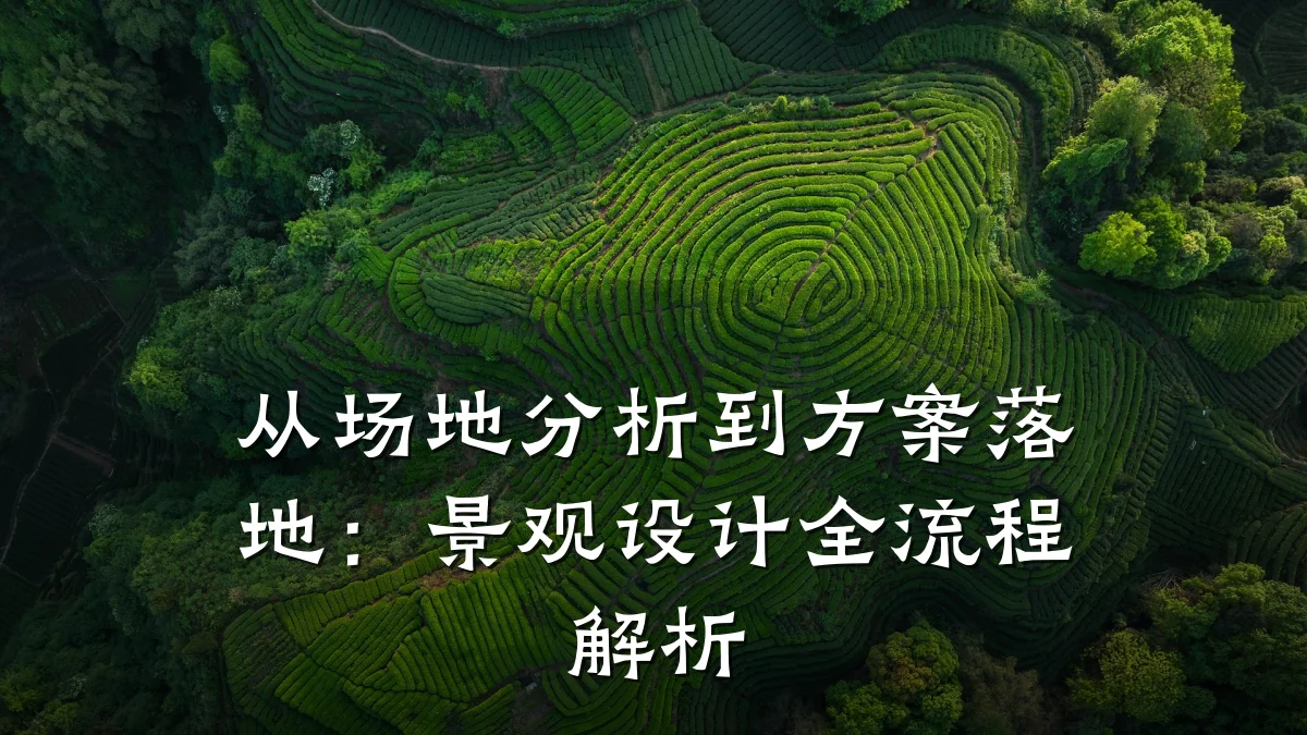 从场地分析到方案落地:景观设计全流程解析