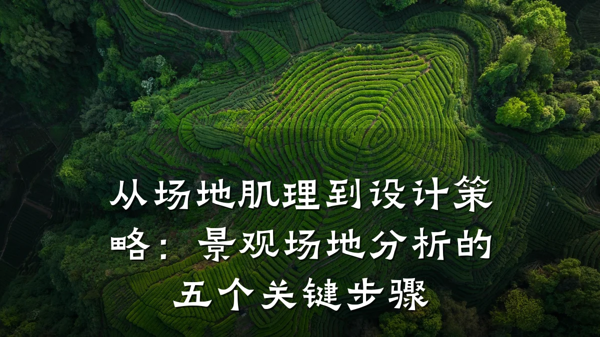 从场地肌理到设计策略:景观场地分析的五个关键步骤