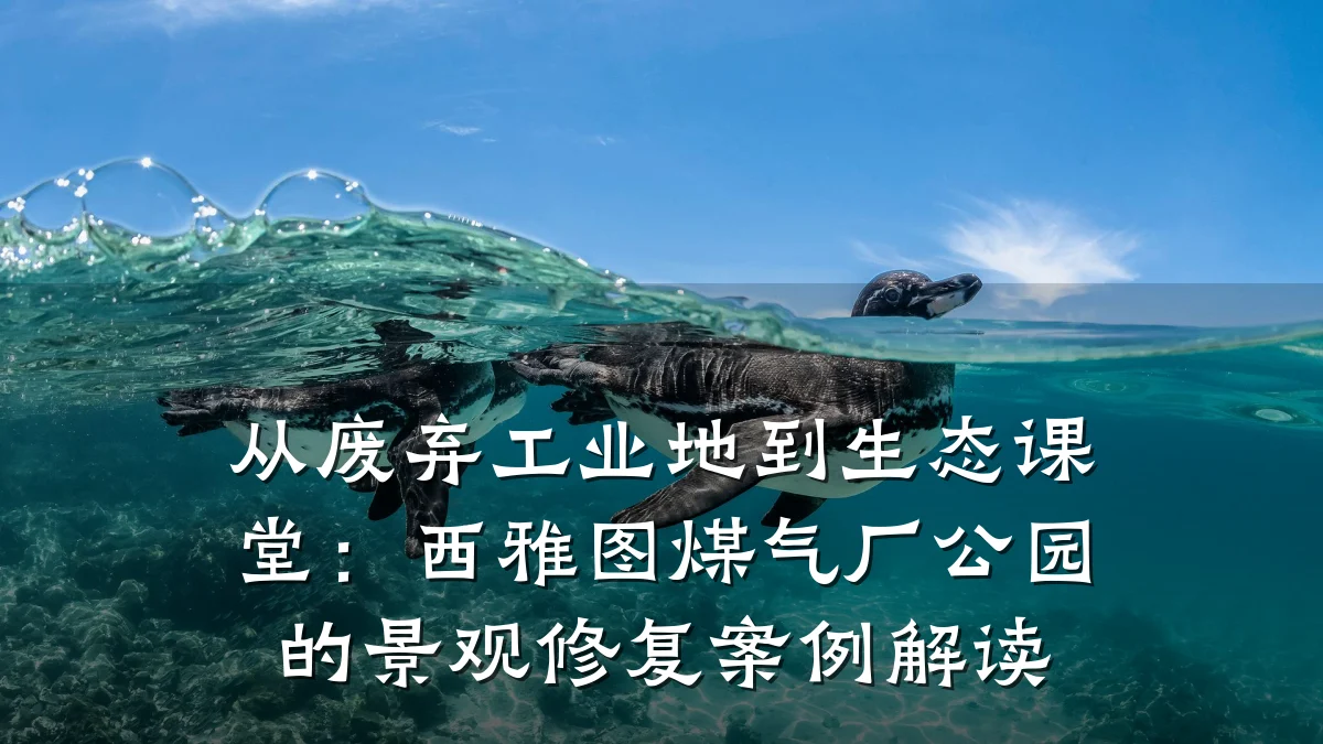 从废弃工业地到生态课堂:西雅图煤气厂公园的景观修复案例解读
