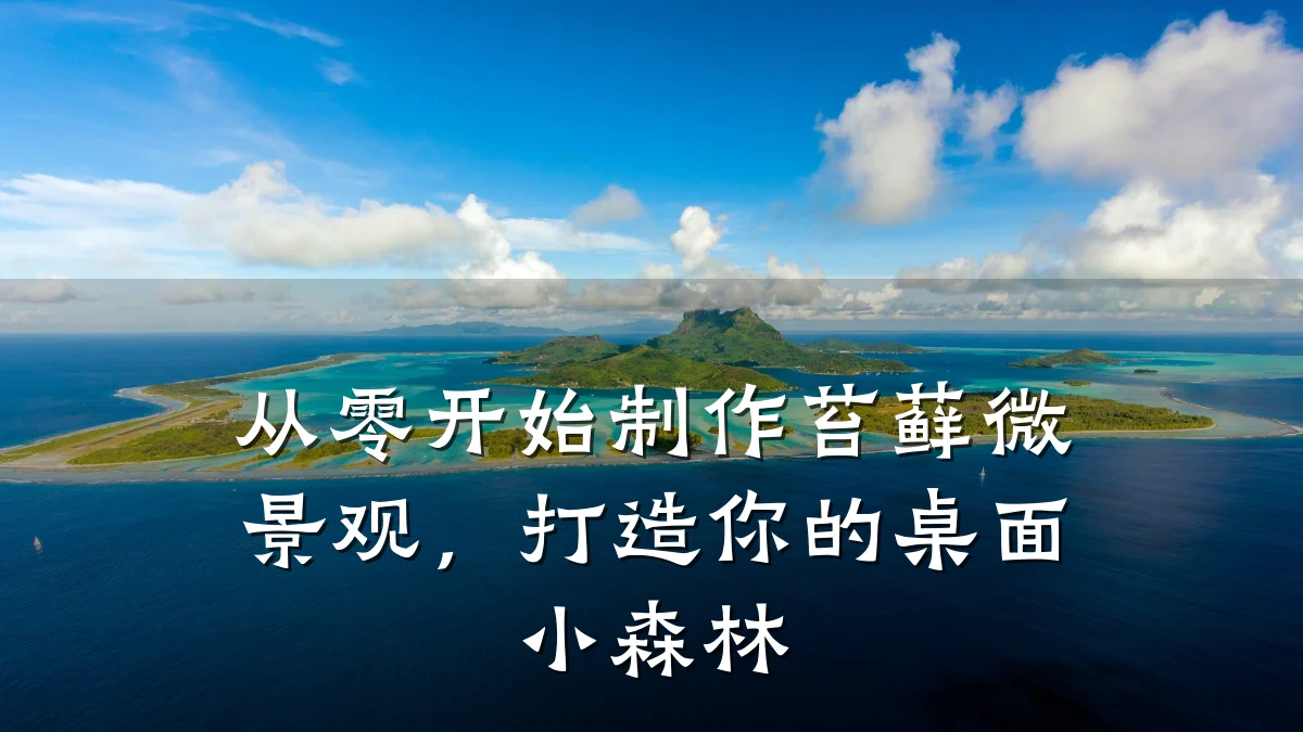 从零开始制作苔藓微景观,打造你的桌面小森林