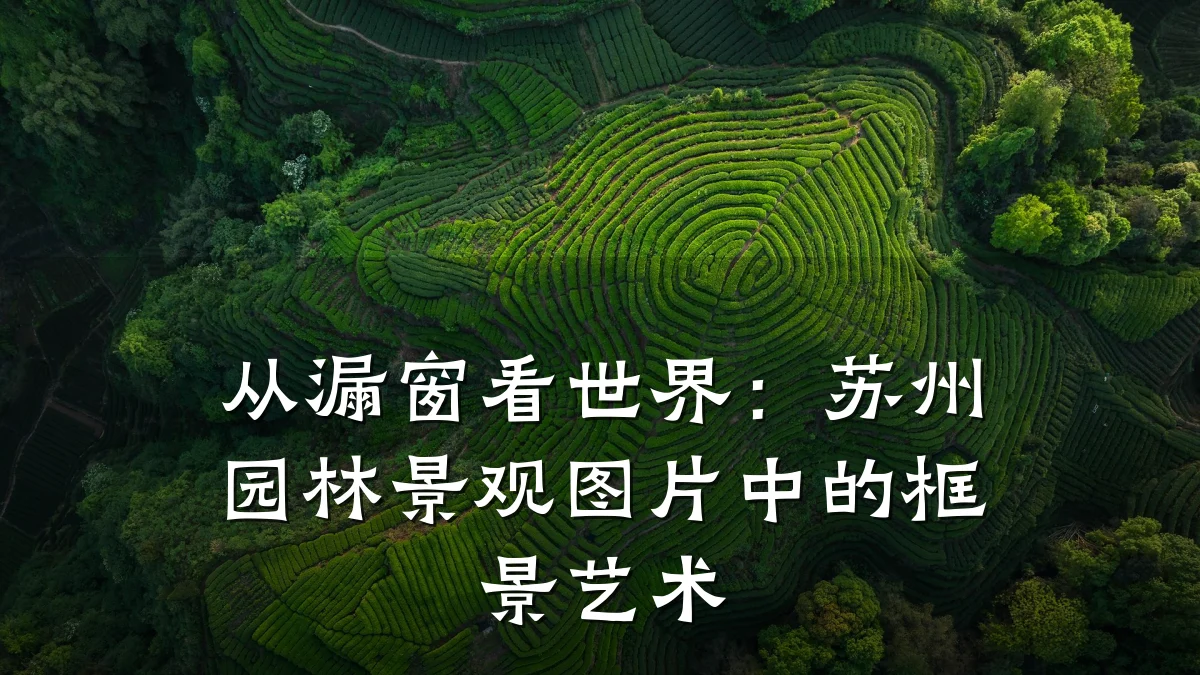 从漏窗看世界:苏州园林景观图片中的框景艺术