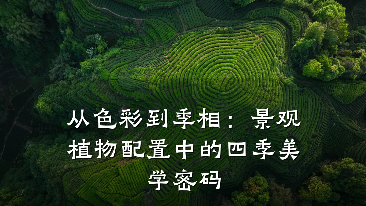 从色彩到季相：景观植物配置中的四季美学密码