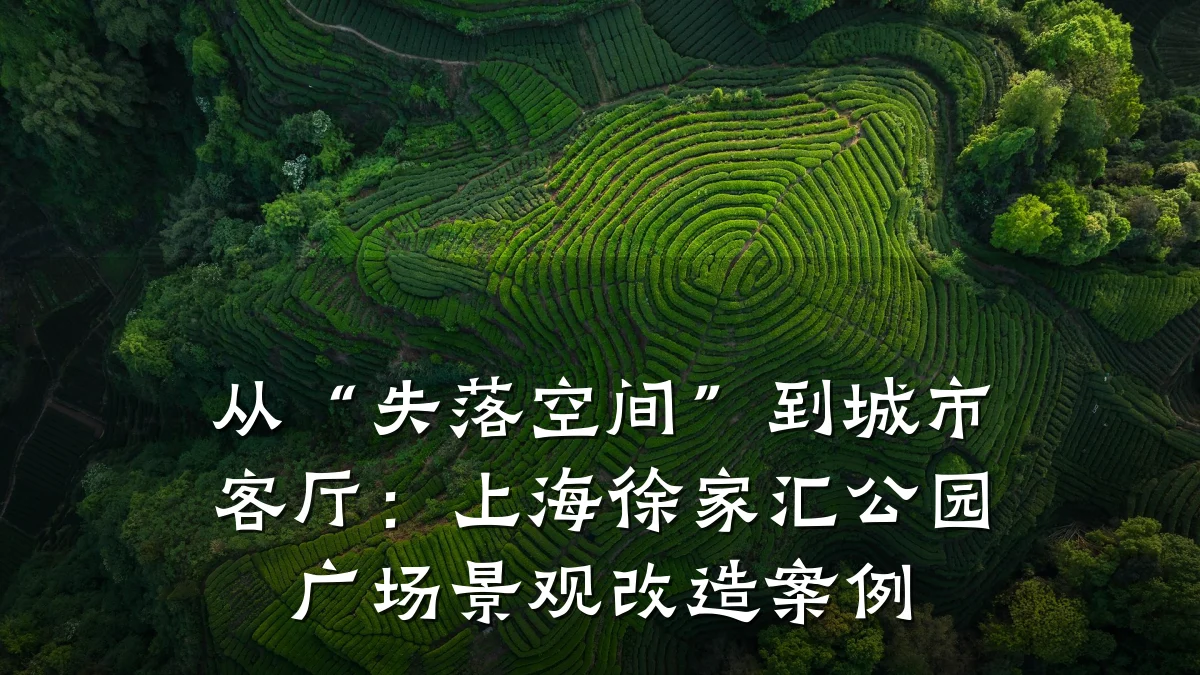 从“失落空间”到城市客厅:上海徐家汇公园广场景观改造案例