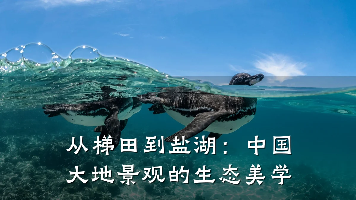 从梯田到盐湖：中国大地景观的生态美学