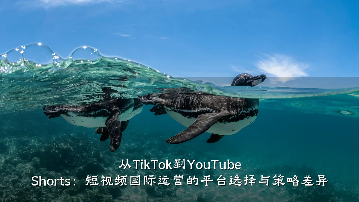 从TikTok到YouTube Shorts:短视频国际运营的平台选择与策略差异