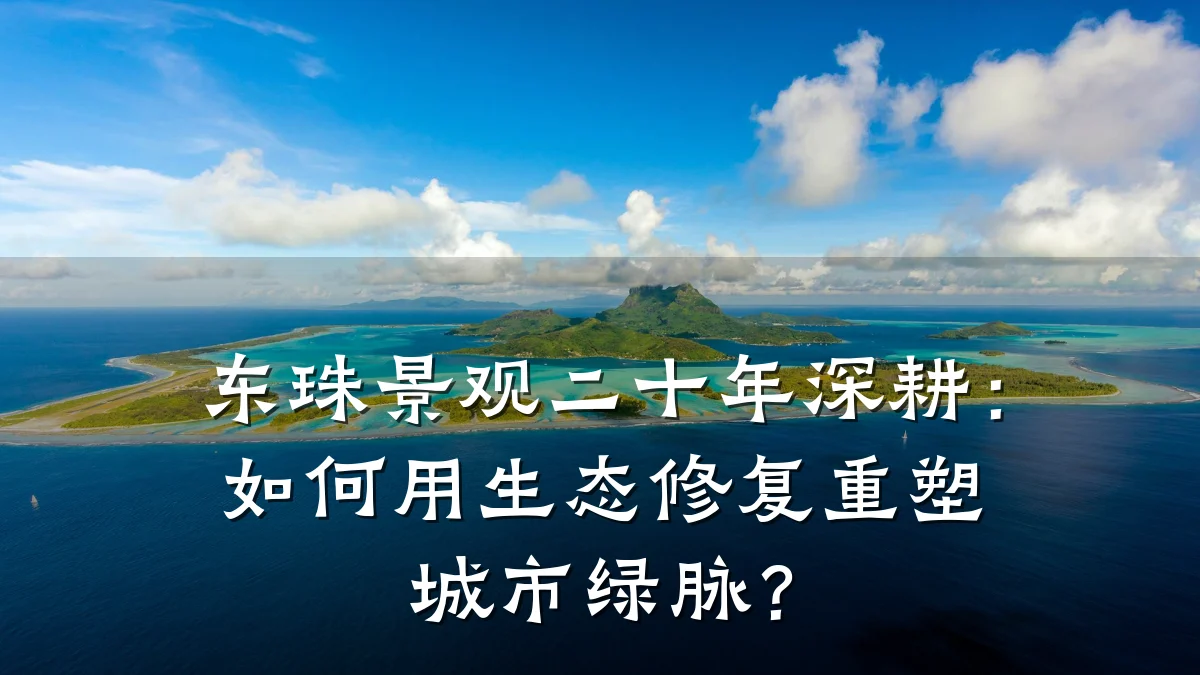东珠景观二十年深耕:如何用生态修复重塑城市绿脉?