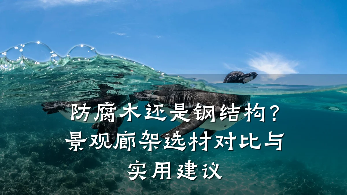 防腐木还是钢结构?景观廊架选材对比与实用建议